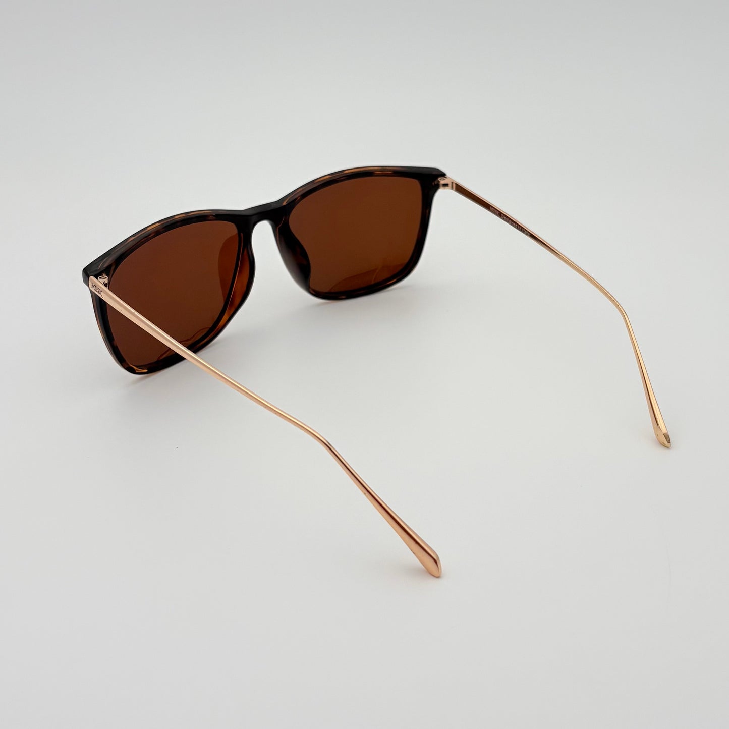 Legacy Polarized // Tortoise