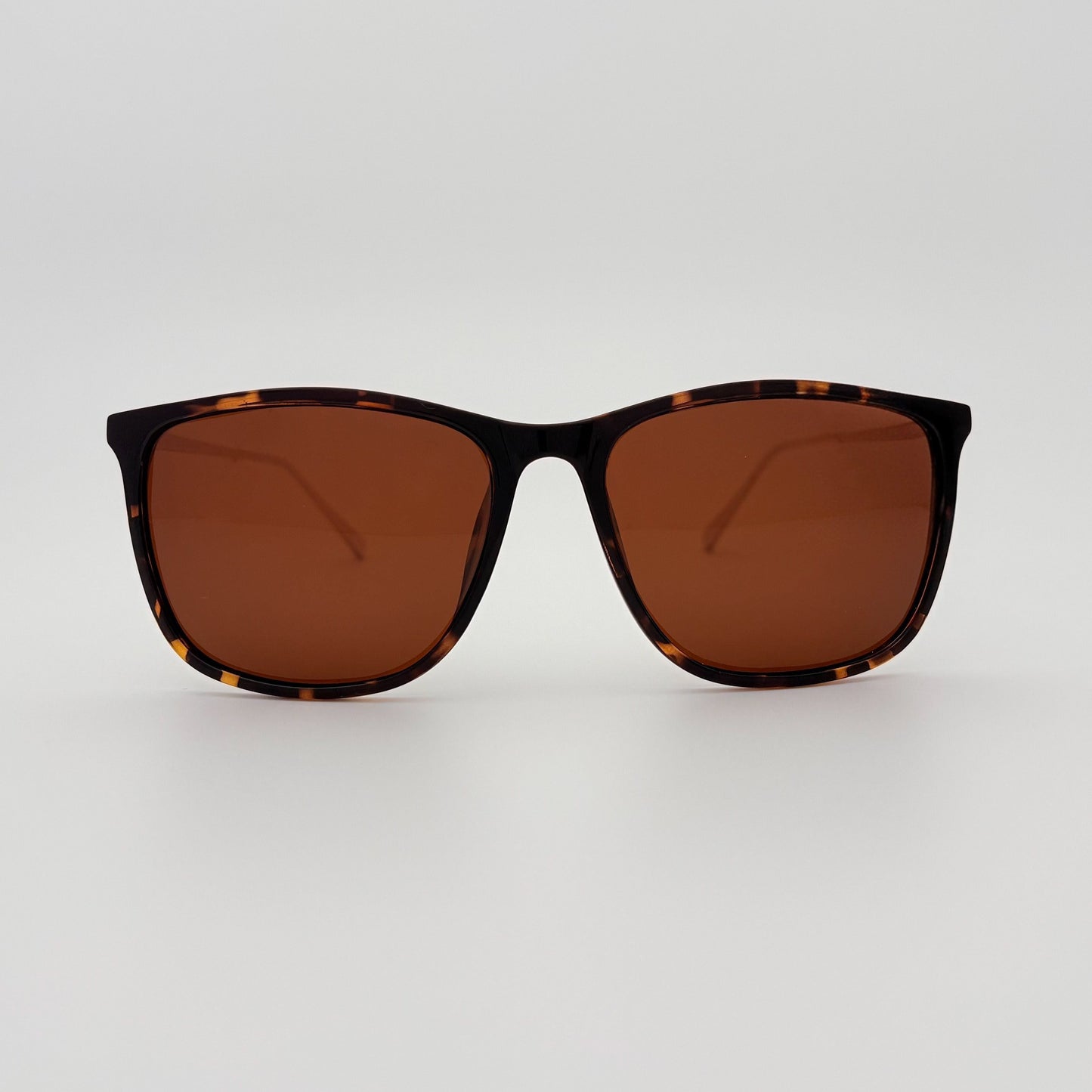 Legacy Polarized // Tortoise
