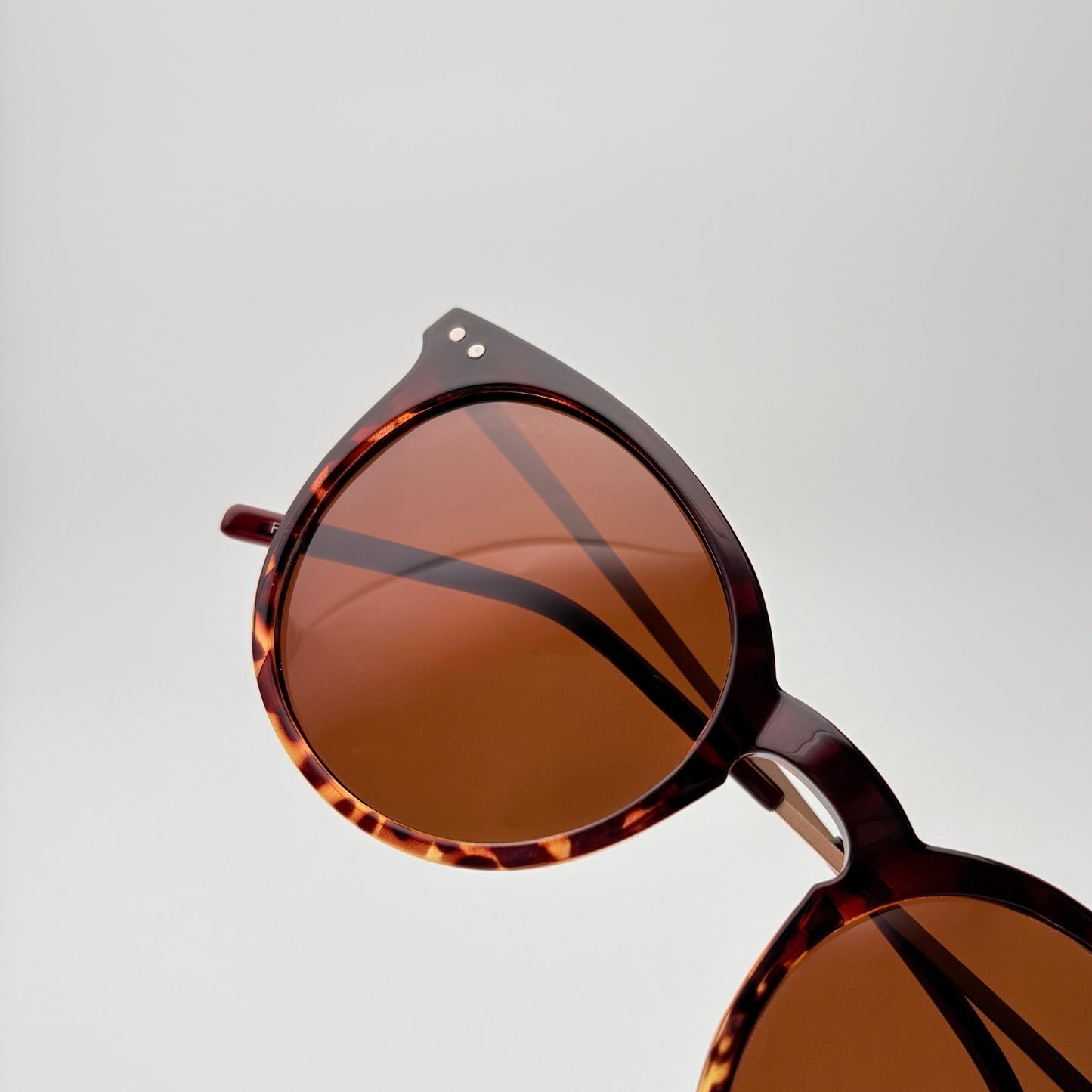 Noir Polarized // Tortoise