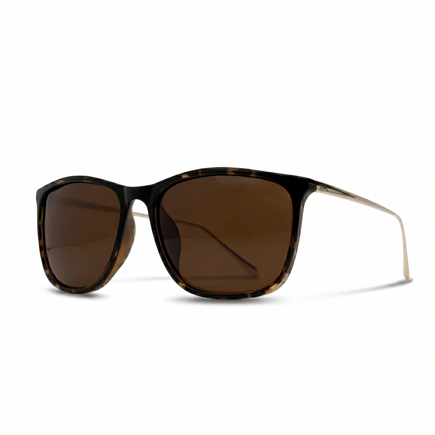 Legacy Polarized // Tortoise