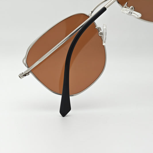 Zenith Polarized // Silver Brown