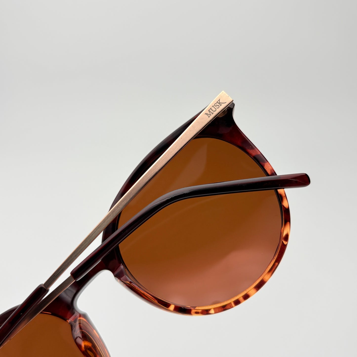 Noir Polarized // Tortoise