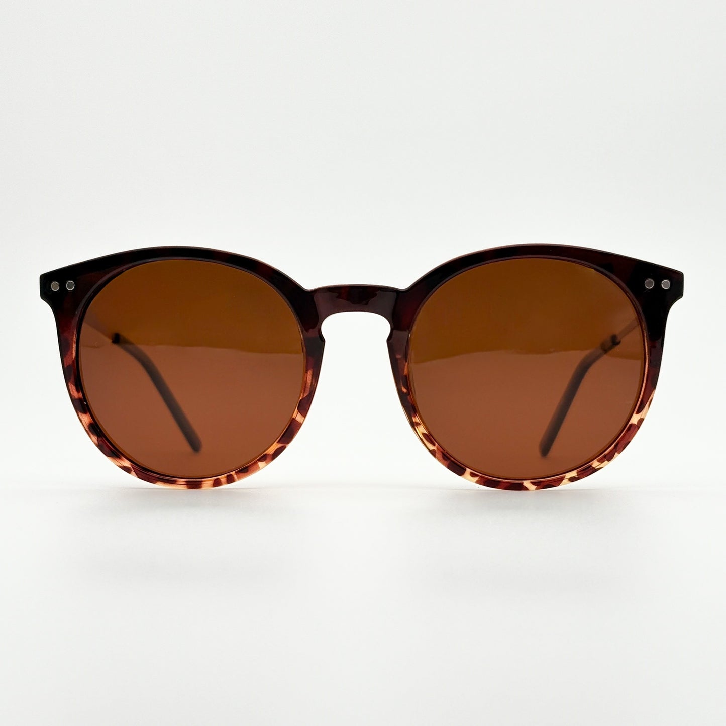 Noir Polarized // Tortoise