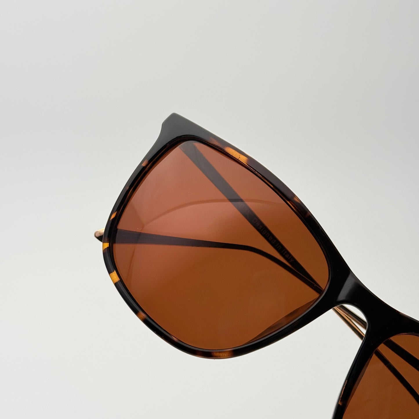 Legacy Polarized // Tortoise