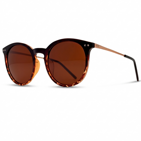 Noir Polarized // Tortoise