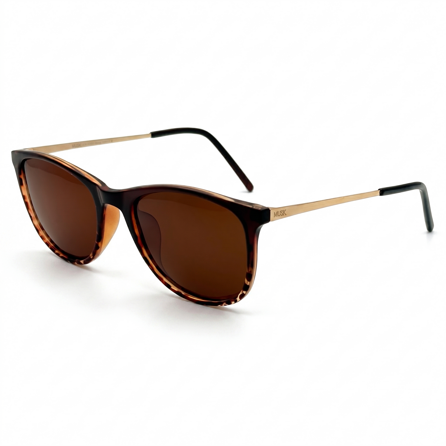 Atlas Polarized // Tortoiseshell