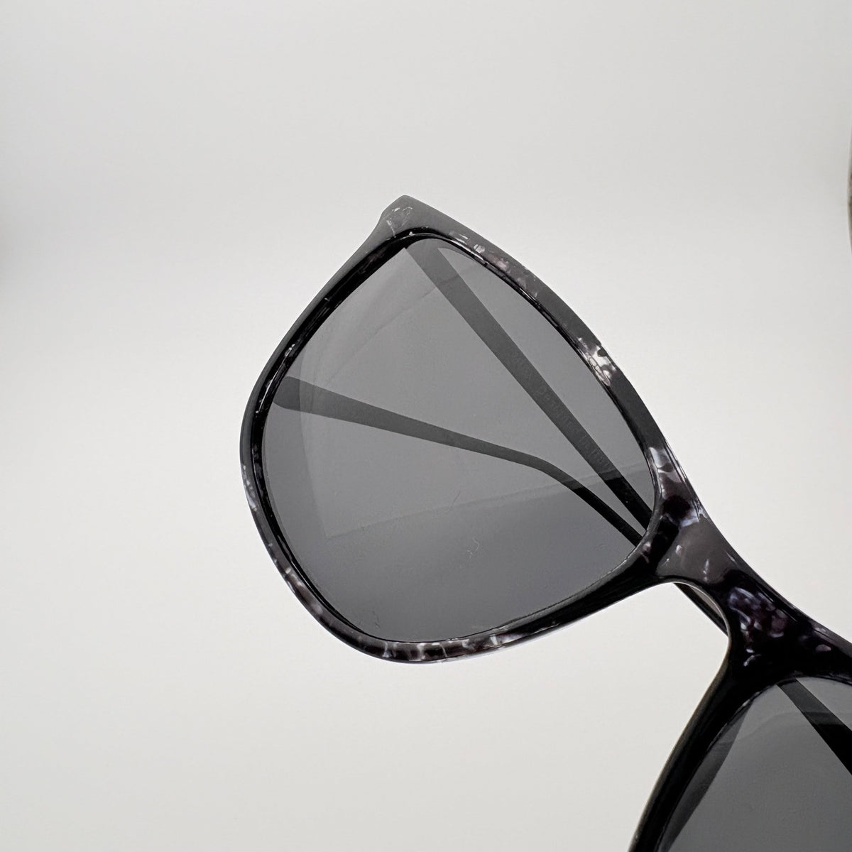 Legacy Polarized // Black Tortoise