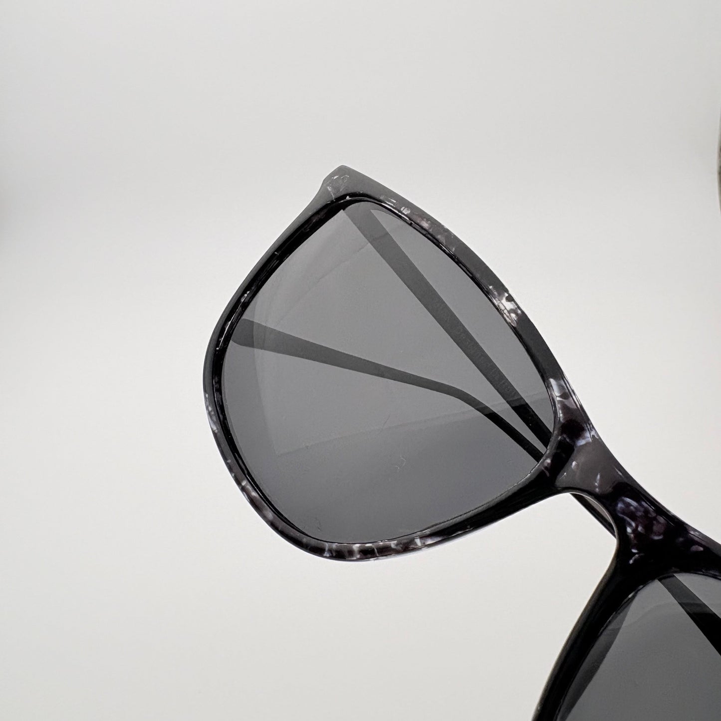 Legacy Polarized // Black Tortoise