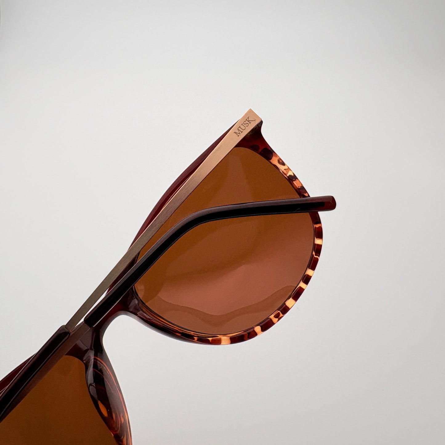Atlas Polarized // Tortoiseshell