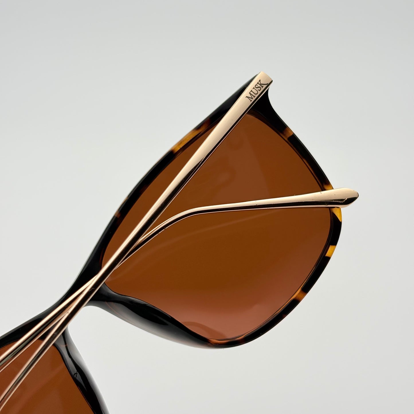 Legacy Polarized // Tortoise