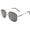 Vector Polarized // Golden Black